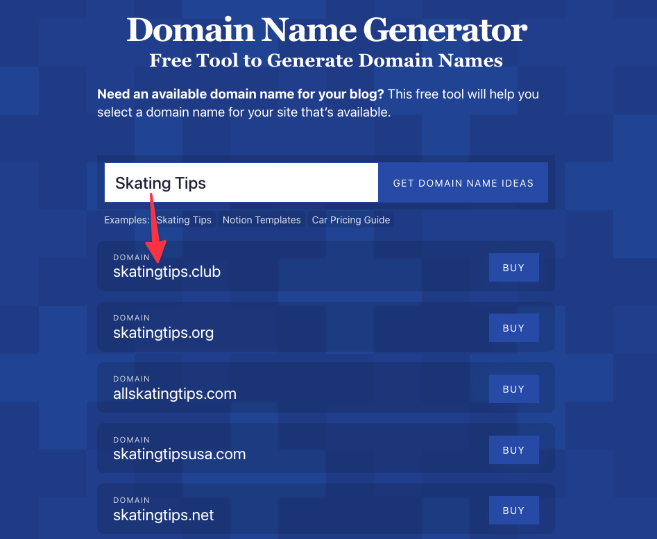 Paid Website Kaise Banaye - Domain-Name-SkatingTips-Example